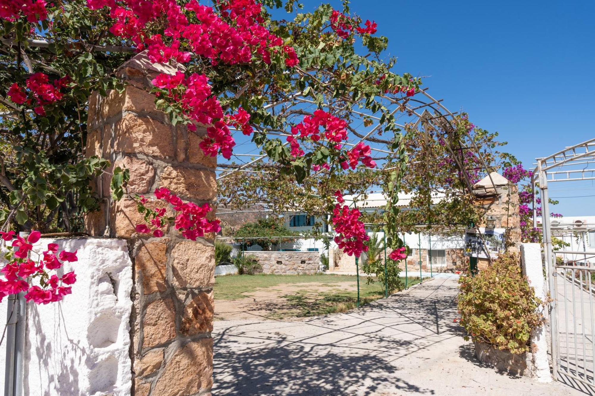 Beachfront Lampis Dolphin 4 Skala  Exterior photo